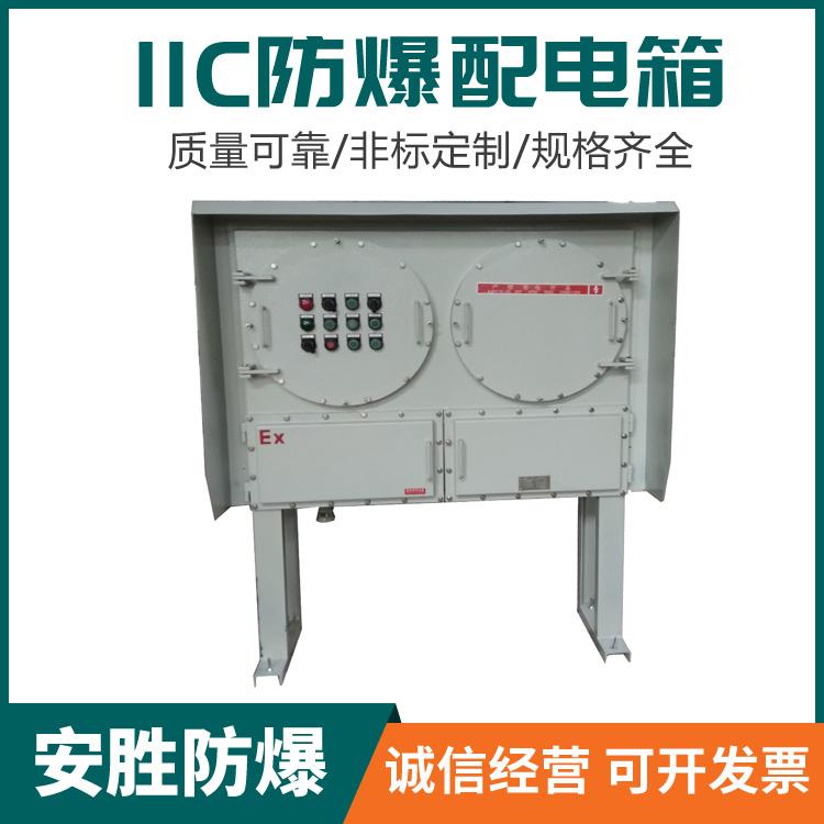 IIC防爆配電箱 定制防爆配電箱